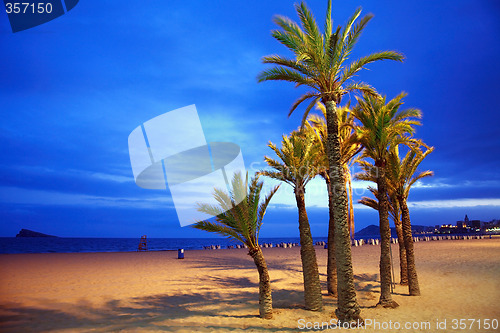 Image of Empty beach with palm by night