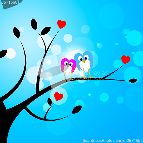 Image of Tree Owls Represents Valentine\'s Day And Forest