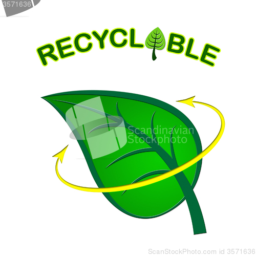 Image of Recyclable Leaf Indicates Earth Friendly And Eco