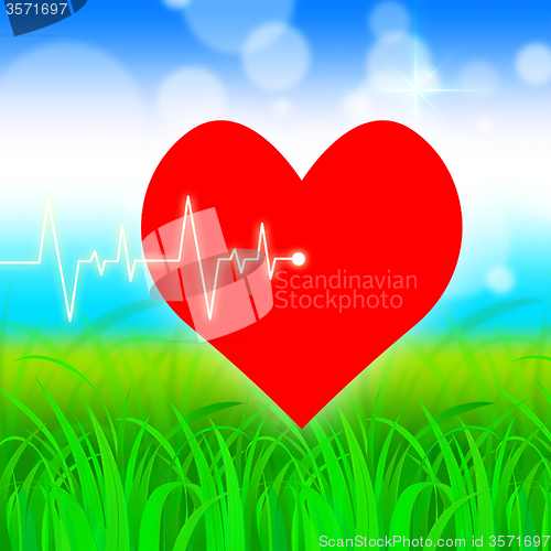 Image of Heart Pulse Represents Valentine Day And Cardiology