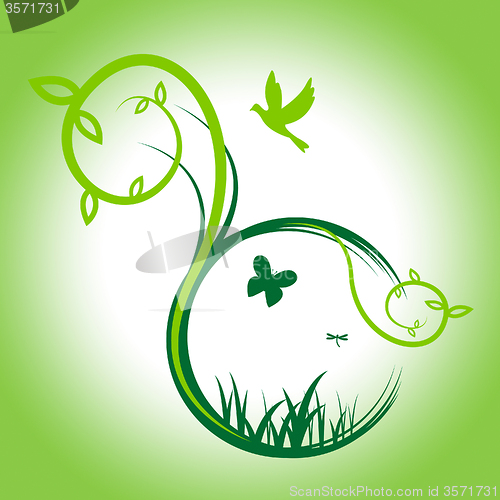 Image of Butterflies Nature Means Birds In Flight And Animal