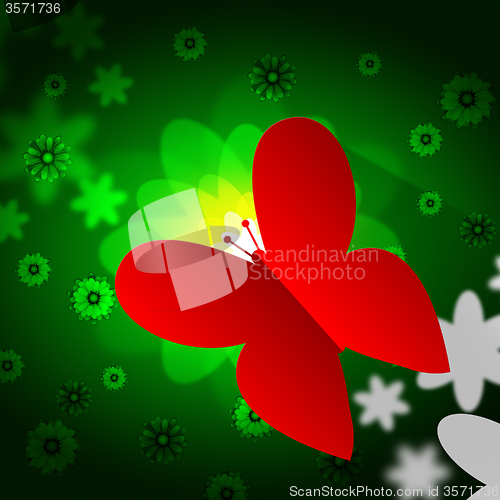 Image of Butterflies Nature Means Bouquet Countryside And Flower
