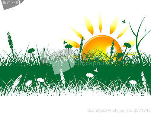 Image of Grass Sun Represents Grassy Summer And Outdoor