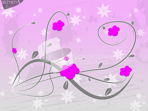 Image of Pink Floral Indicates Abstract Backdrop And Blooming