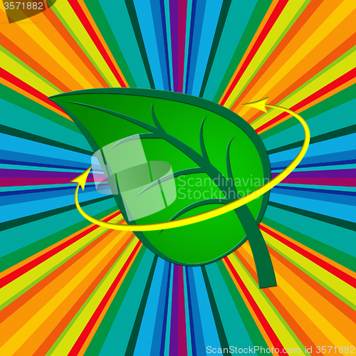 Image of Nature Leaf Indicates Go Green And Countryside
