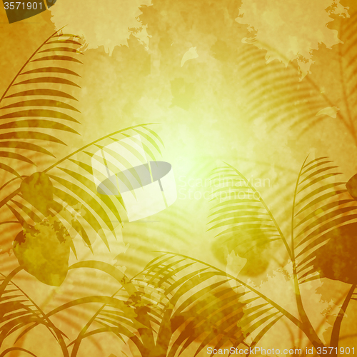 Image of Copyspace Background Means Backgrounds Florist And Backdrop