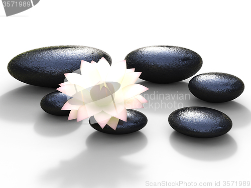 Image of Spa Stones Represents Bloom Peaceful And Spirituality
