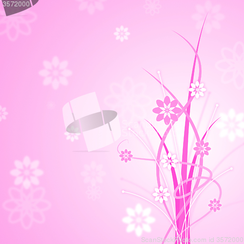 Image of Pink Background Shows Florals Floral And Flowers