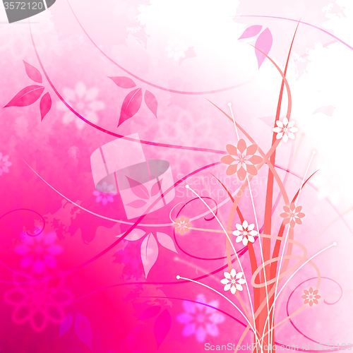 Image of Background Floral Shows Light Burst And Glaring