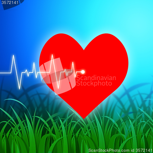 Image of Heart Pulse Indicates Valentines Day And Cardiology