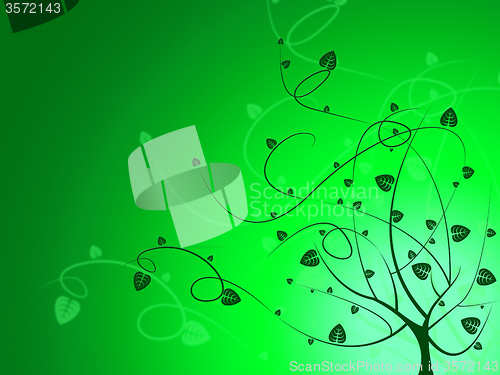 Image of Floral Nature Indicates Bouquet Background And Flower