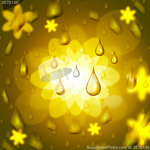 Image of Rain Drop Shows Bloom Florals And Petal