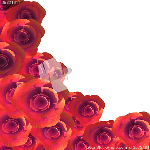 Image of Roses Copyspace Represents Flora Romance And Flower