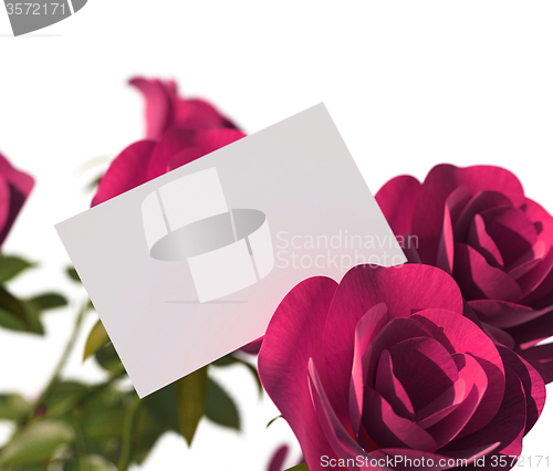 Image of Gift Card Means Empty Space And Copy