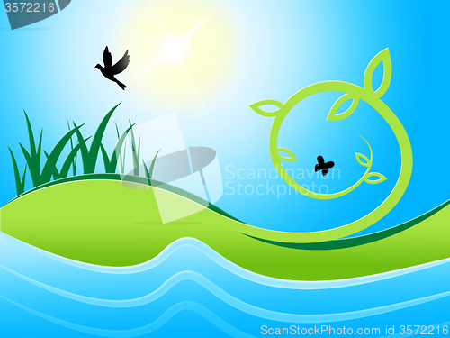Image of Birds Sea Shows Water Grass And Meadow