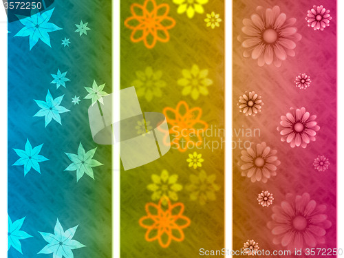 Image of Color Background Indicates Abstract Environmental And Bouquet