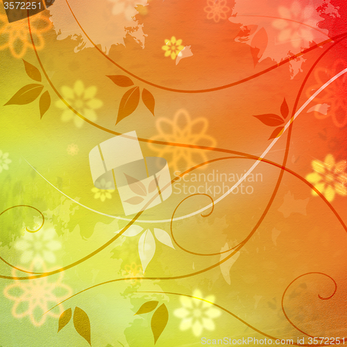 Image of Floral Nature Indicates Outdoors Design And Florist