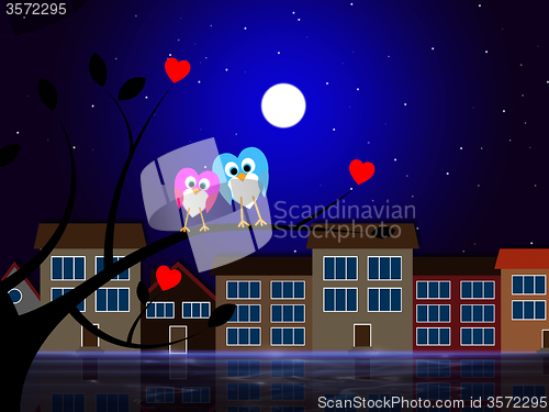 Image of Moon Owls Represents Night Time And Apartment