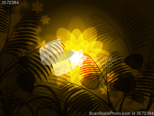 Image of Nature Floral Shows Light Burst And Blazing