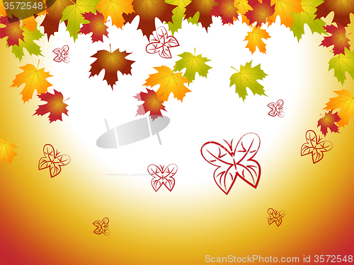 Image of Nature Leaves Shows Autumn Countryside And Environment