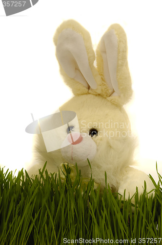 Image of Easter bunny