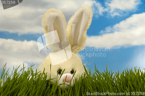 Image of Easter bunny