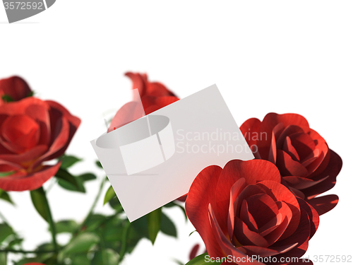 Image of Gift Card Means Text Space And Bloom
