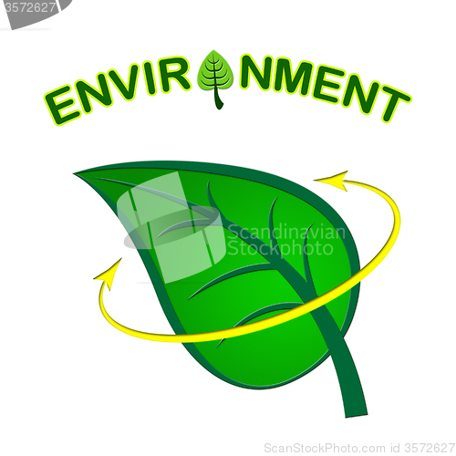 Image of Environment Leaf Shows Earth Friendly And Conservation