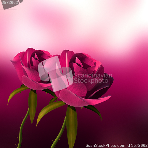 Image of Roses Copyspace Represents Valentine Valentines And Bloom