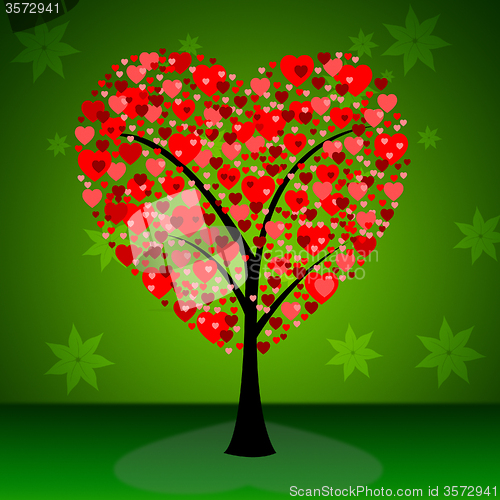 Image of Tree Hearts Indicates Valentine\'s Day And Forest