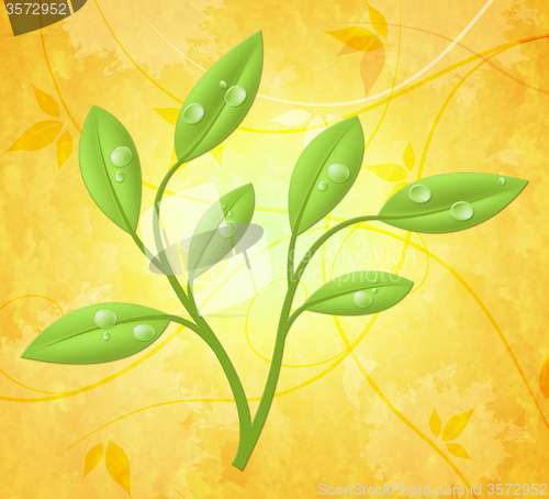 Image of Eco Friendly Represents Go Green And Countryside