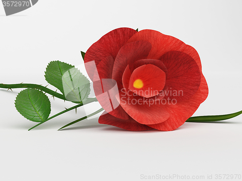 Image of Rose Love Means Petal Romantic And Petals