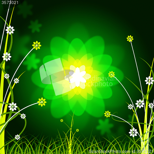 Image of Glow Floral Shows Empty Space And Backdrop