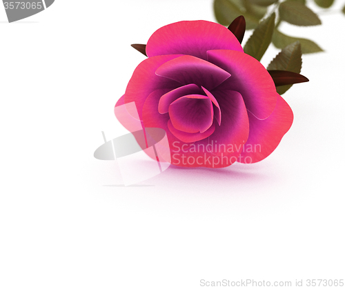 Image of Copyspace Rose Means Valentine Romantic And Copy-Space