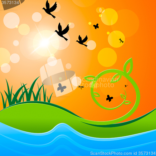 Image of Landscape Sun Shows Birds In Flight And Sunlight