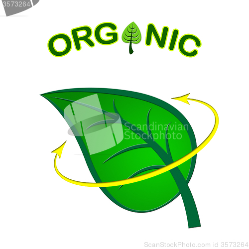 Image of Eco Friendly Represents Organic Products And Conservation