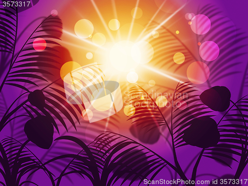 Image of Leaves Sun Means Outdoor Template And Environment