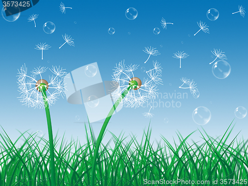 Image of Dandelion Sky Indicates Green Grass And Environment