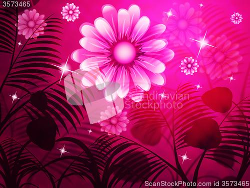 Image of Copyspace Pink Represents Light Burst And Background