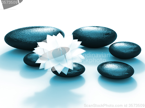 Image of Spa Stones Indicates Floral Pebble And Calmness