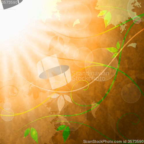 Image of Sun Sunrays Represents Summer Solar And Bouquet