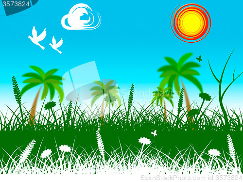 Image of Grass Landscape Indicates Summer Scene And Picturesque