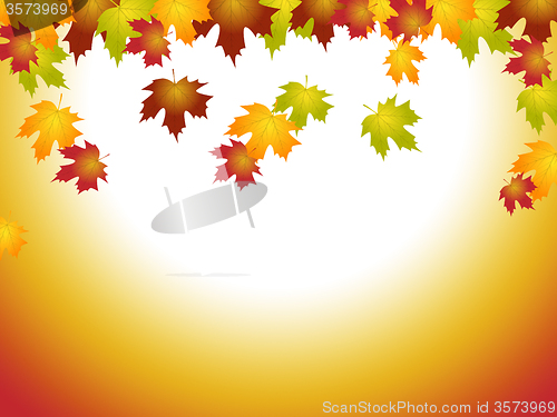 Image of Fall Leaves Means Text Space And Blank