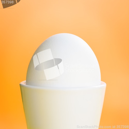 Image of Egg