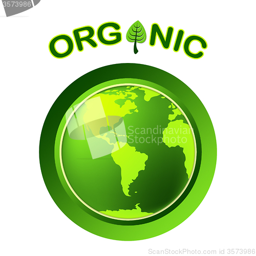 Image of Natural Organic Represents Globalisation Worldwide And Trees