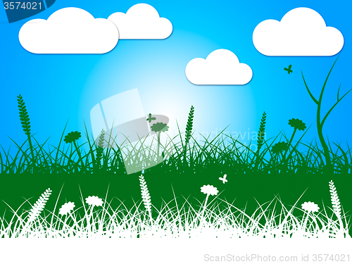 Image of Landscape Nature Indicates Green Grass And Clothes-Line