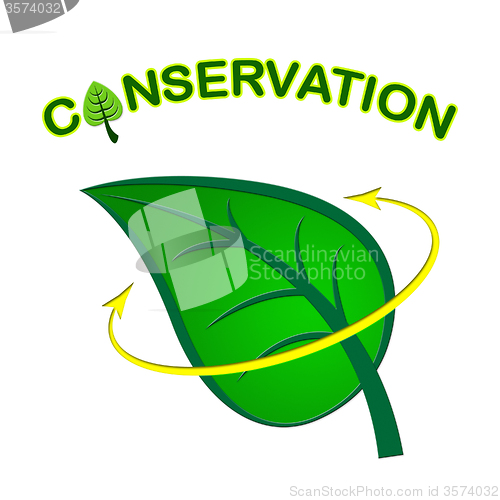 Image of Leaf Conservation Represents Go Green And Conserving