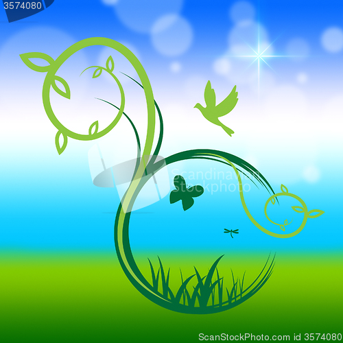 Image of Butterflies Birds Shows Outdoors Environmental And Green