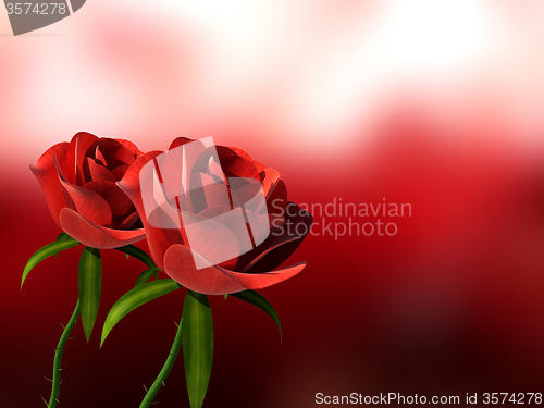 Image of Roses Copyspace Means Petals Romantic And Romance