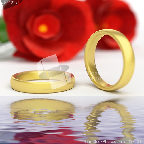 Image of Wedding Rings Represents Reflective Reflect And Wedlock